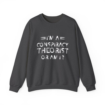 Conspiracy Theorist Sweatshirt