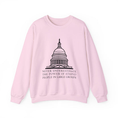 Stupid People In Large Groups Sweatshirt