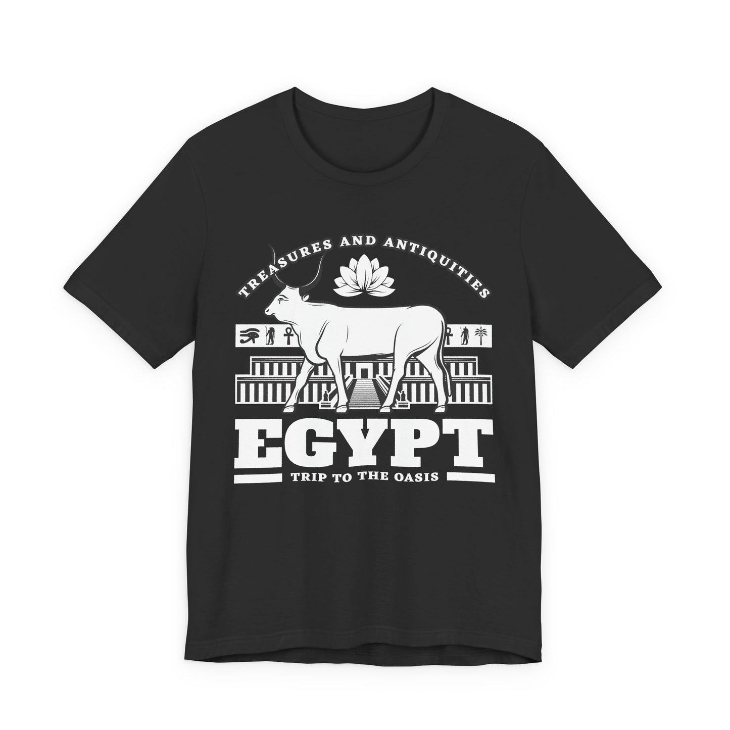 Treasures and Antiquities T-Shirt
