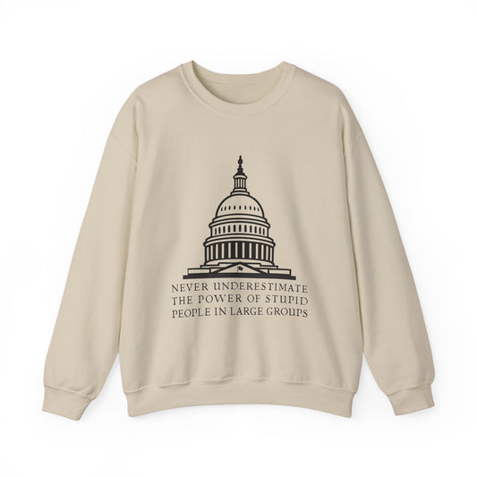 Stupid People In Large Groups Sweatshirt