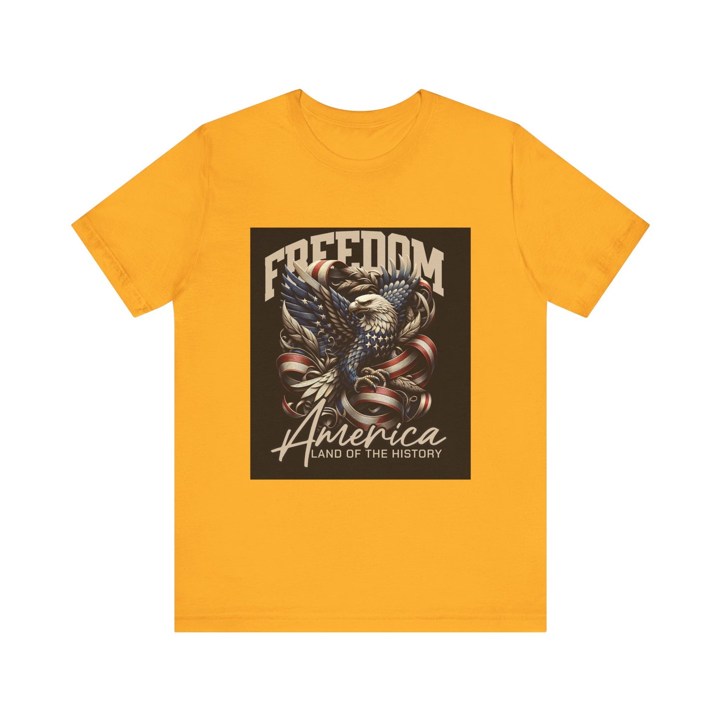 America Land of THE History T-Shirt