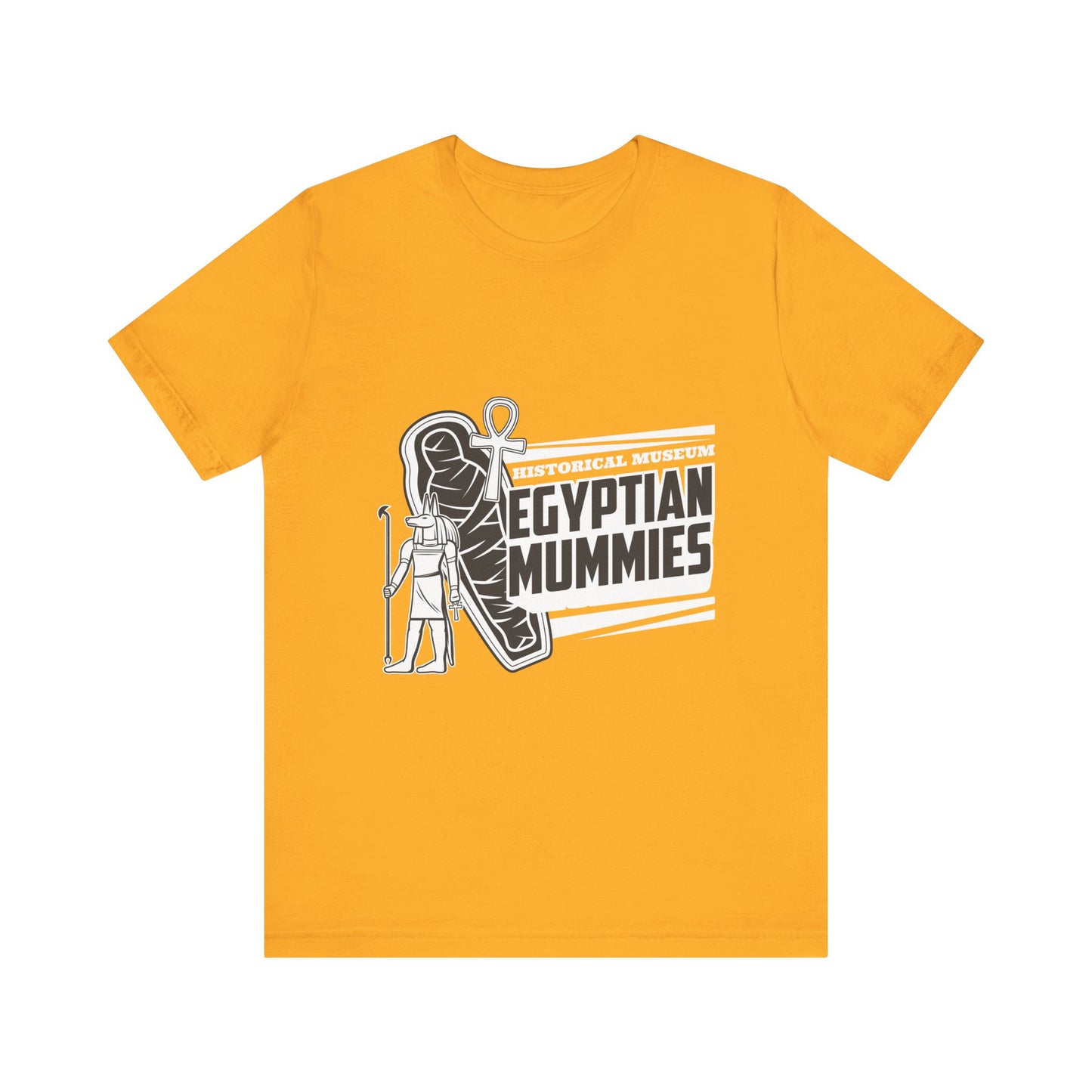 Egyptian historical museum egyptian mummies T-Shirt