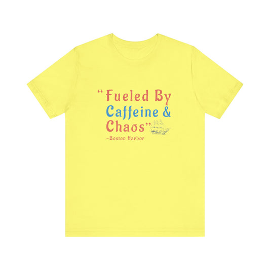 History teacher shirt, Boston tea party T-Shirt