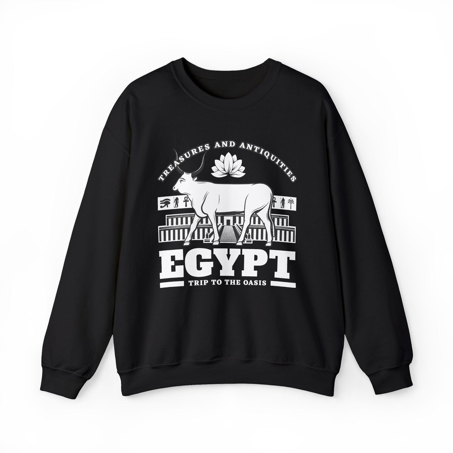 Treasures and Antiquities Sweatshirt