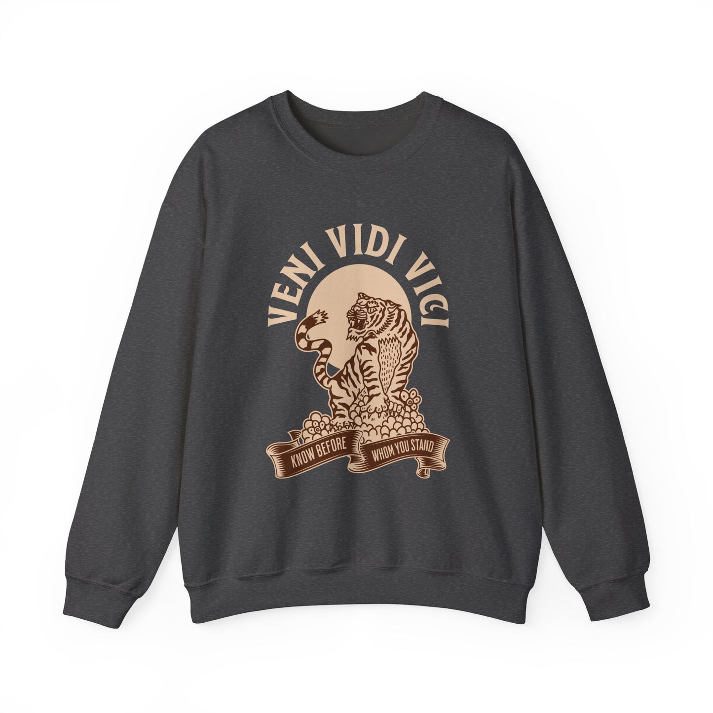 Veni vidi vici  Sweatshirt
