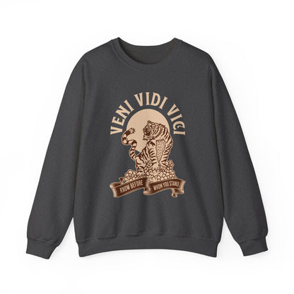 Veni vidi vici  Sweatshirt