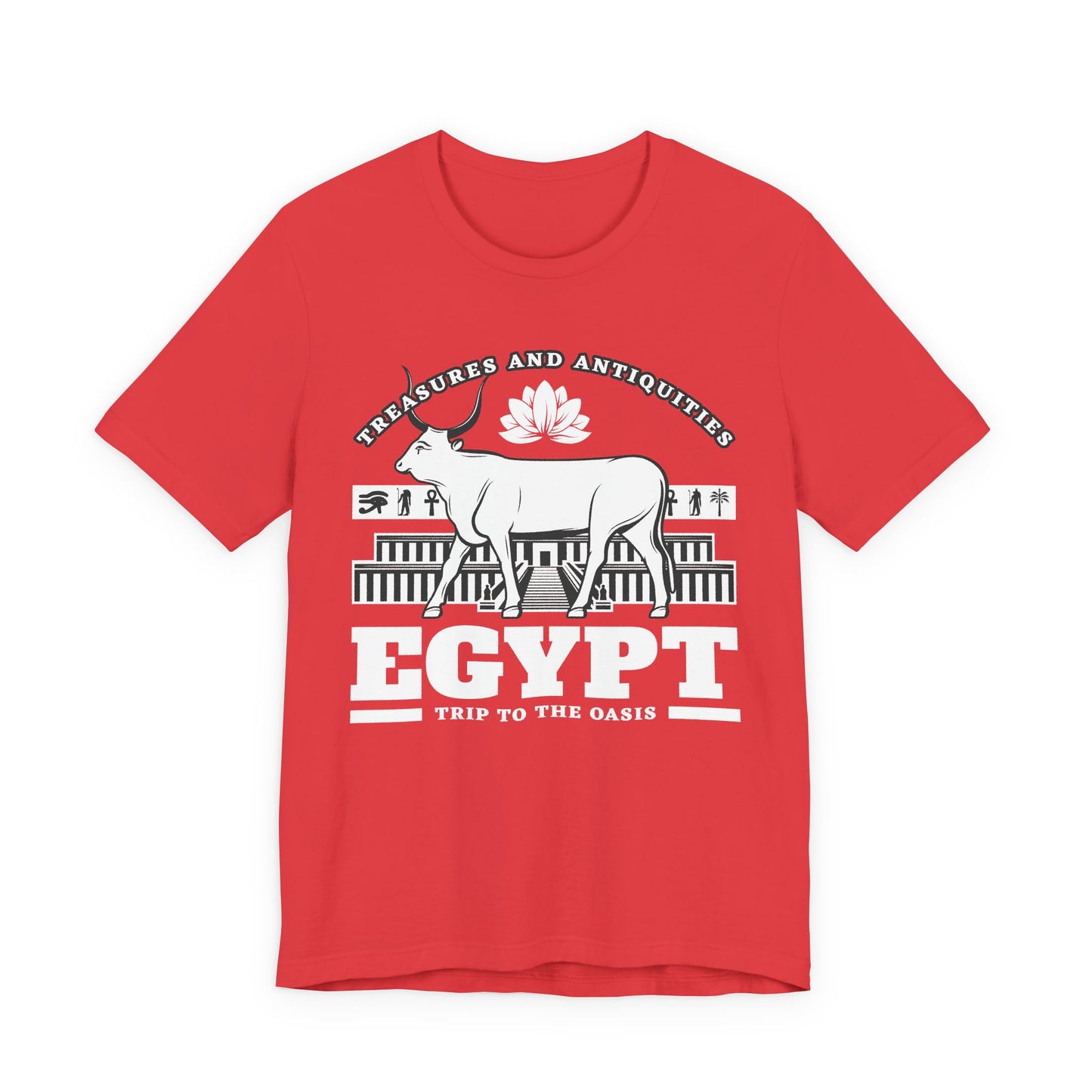 Treasures and Antiquities T-Shirt