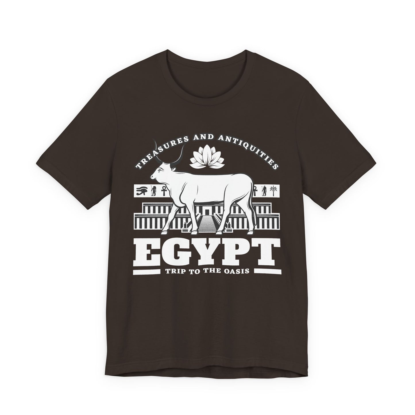 Treasures and Antiquities T-Shirt