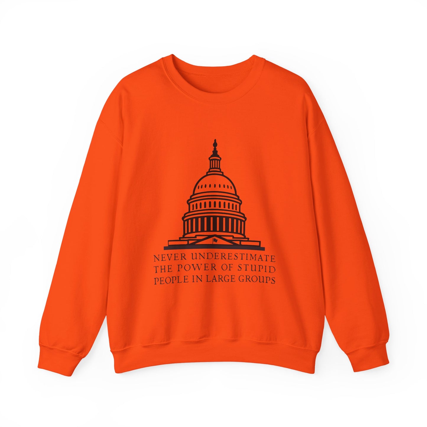 Stupid People In Large Groups Sweatshirt