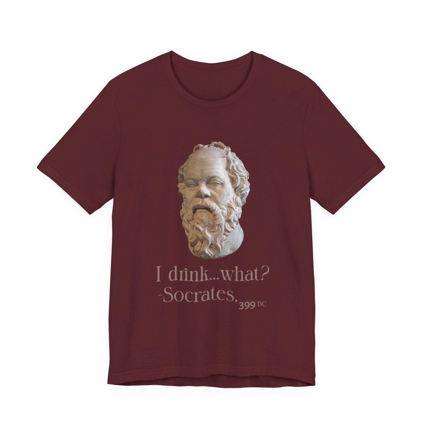 Socrates I Drank What T‑Shirt