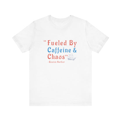 History teacher shirt, Boston tea party T-Shirt