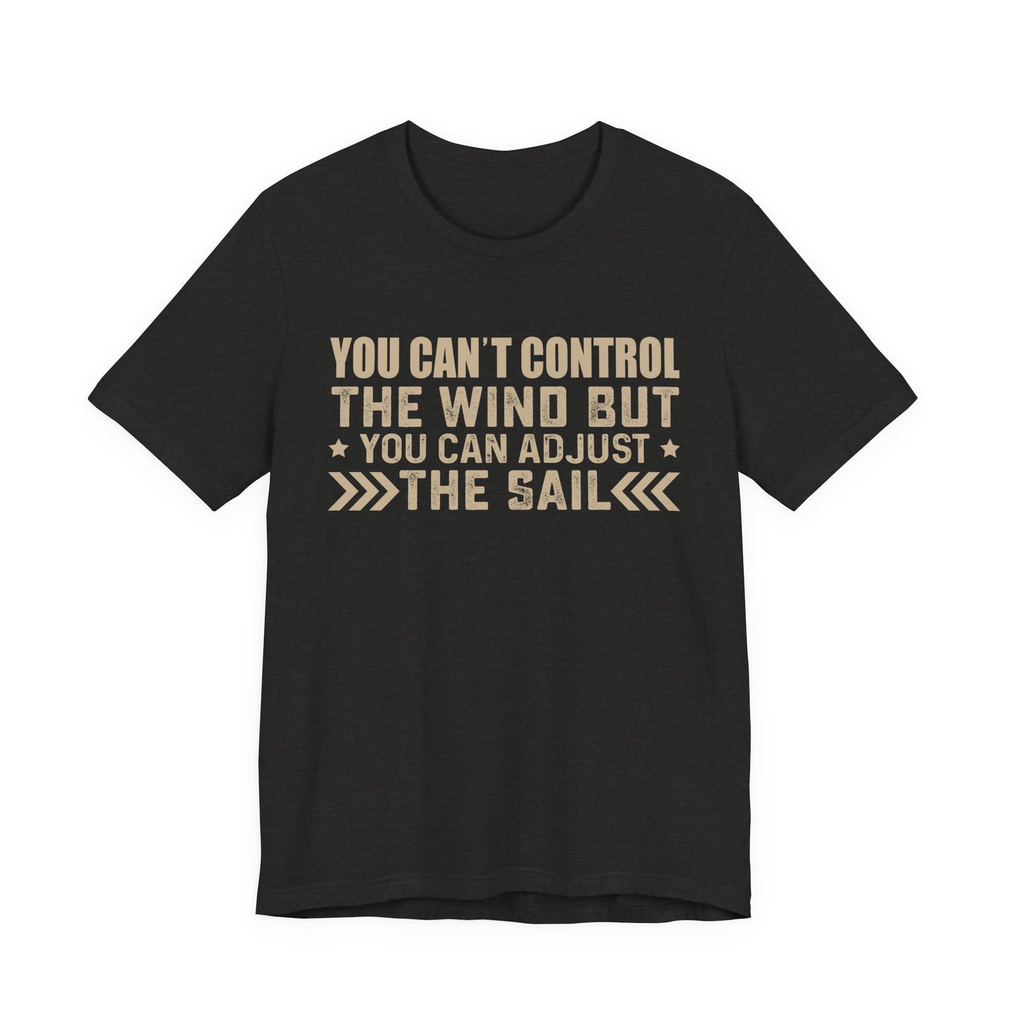 You cant control the wind T-Shirt