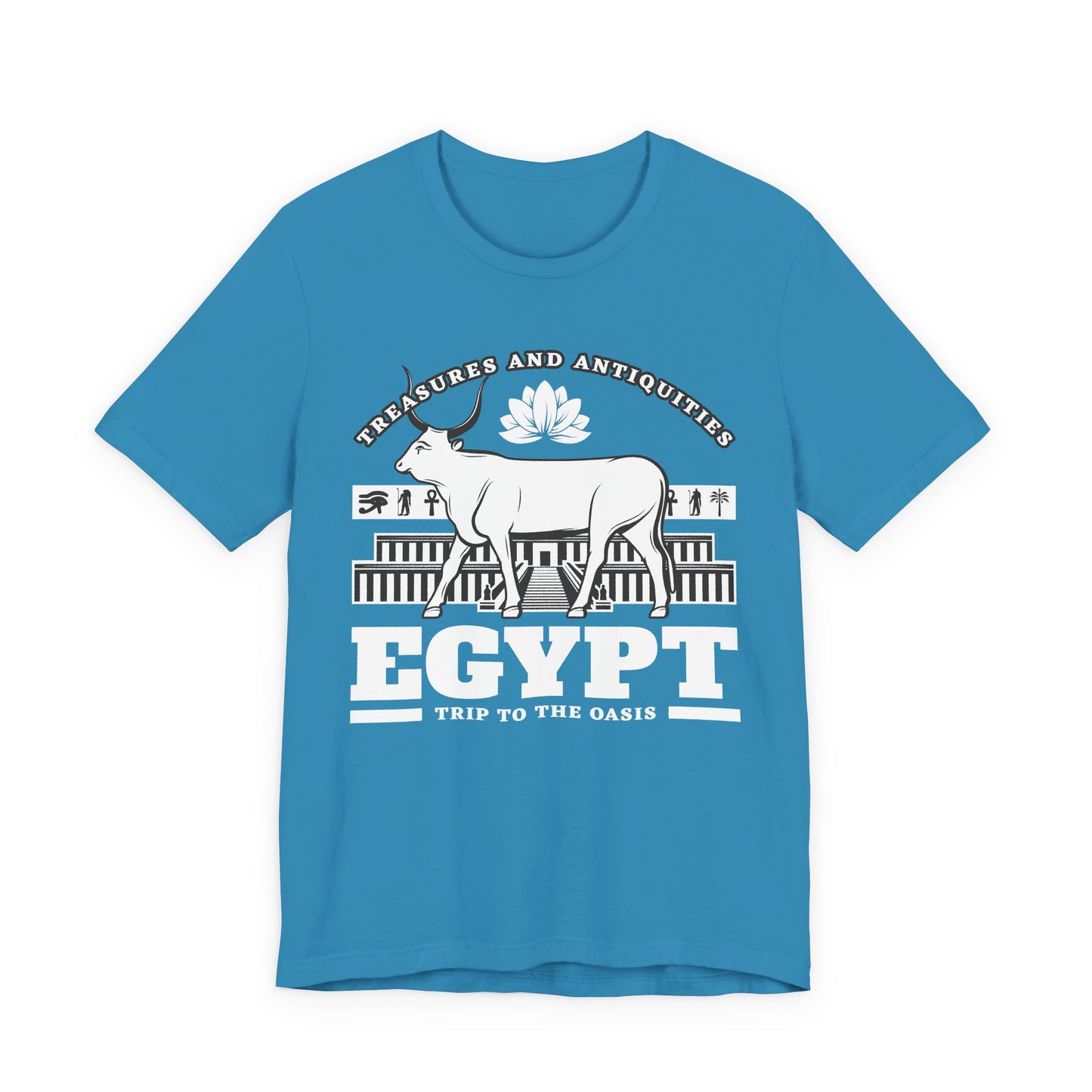Treasures and Antiquities T-Shirt