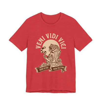 Veni vidi vici T-Shirt