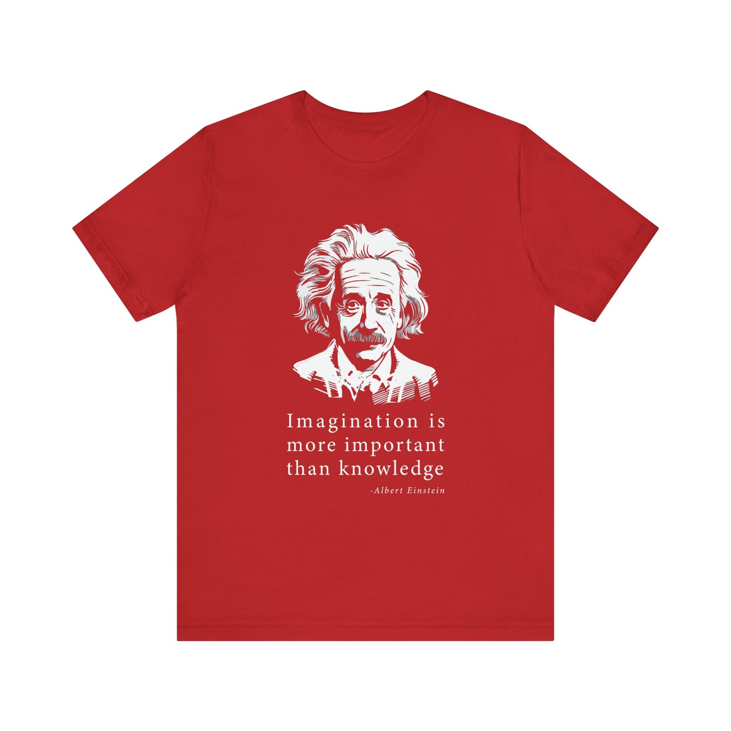 Imagination is more important T-Shirt