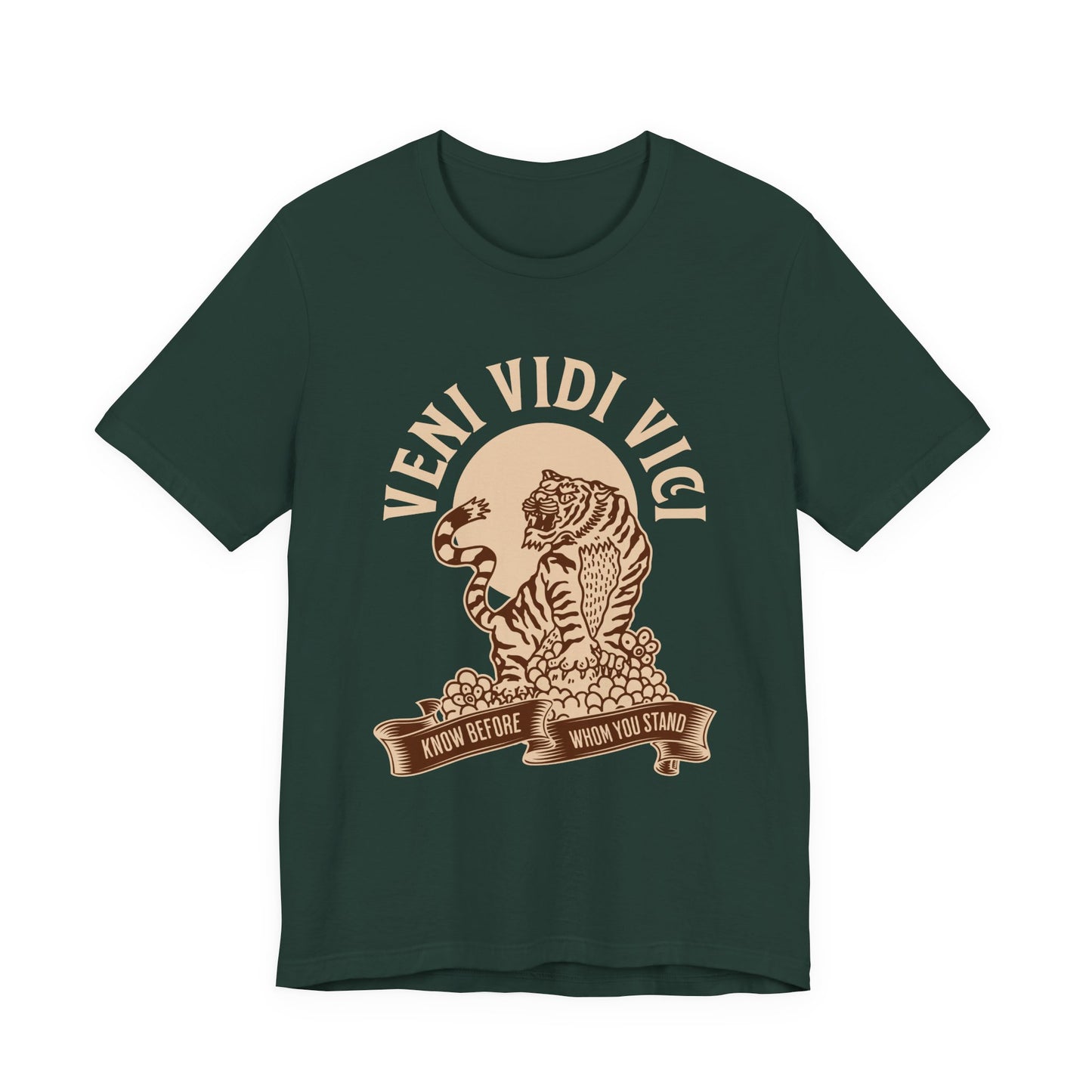 Veni vidi vici T-Shirt