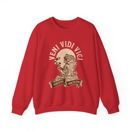 Veni vidi vici  Sweatshirt