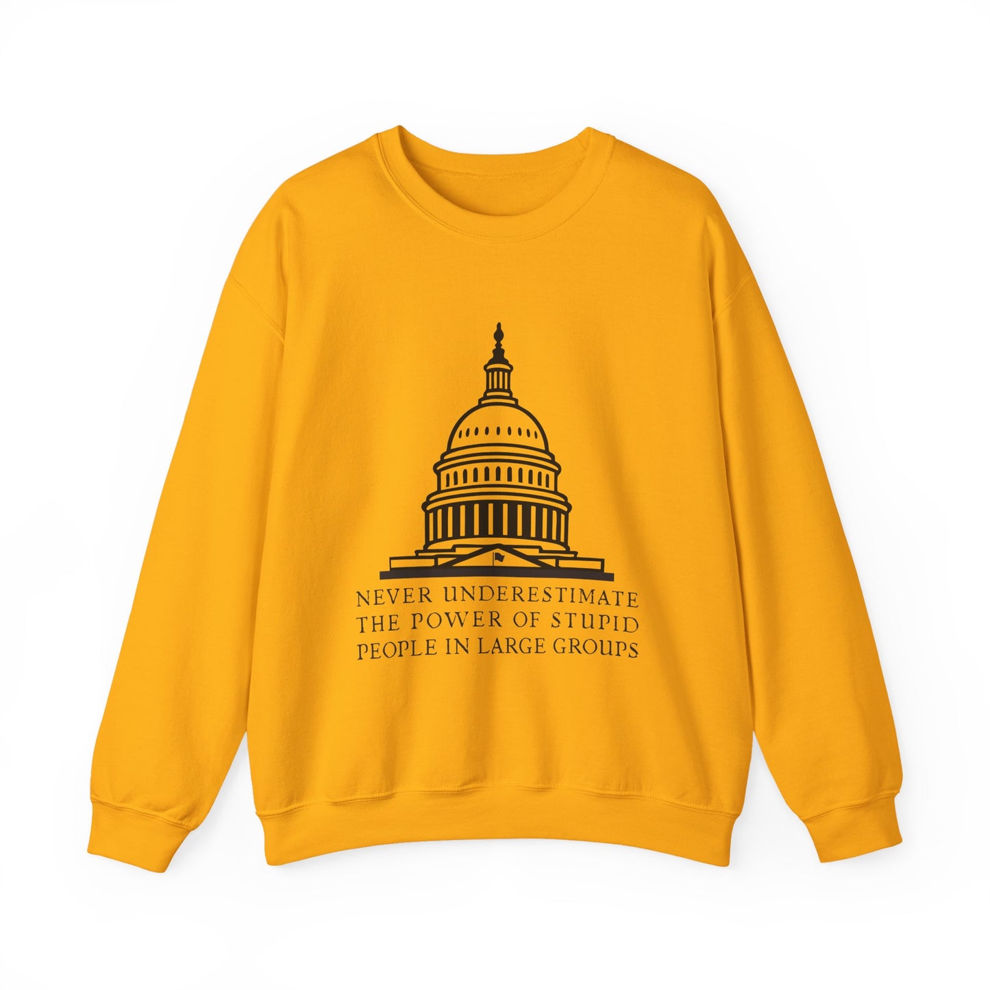 Stupid People In Large Groups Sweatshirt