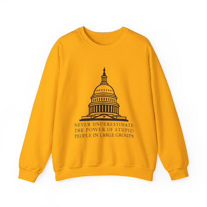 Stupid People In Large Groups Sweatshirt