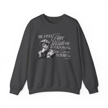 True Wisdom Socrates Sweatshirt