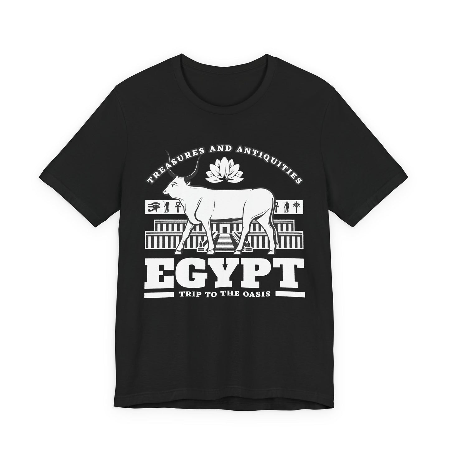 Treasures and Antiquities T-Shirt
