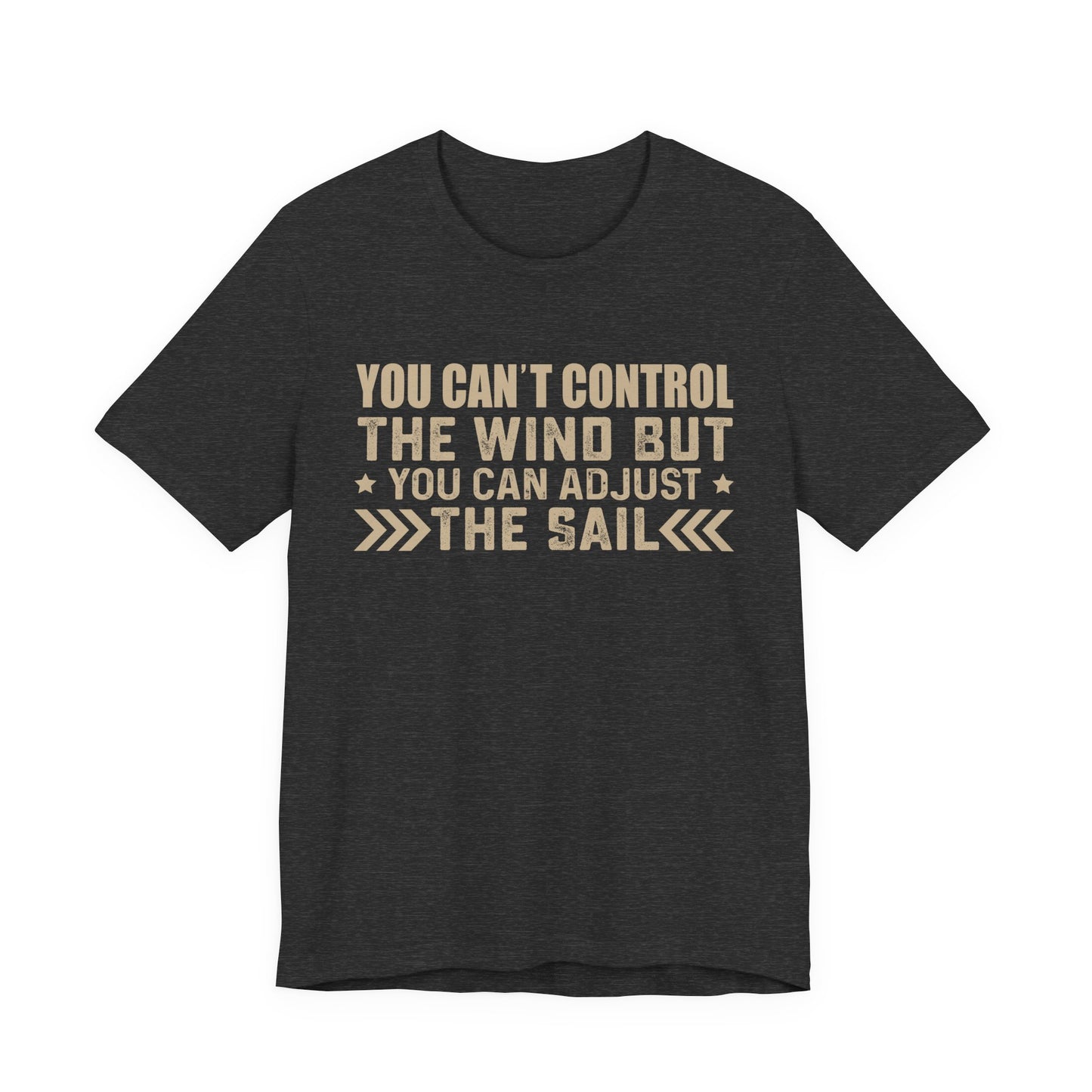 You cant control the wind T-Shirt