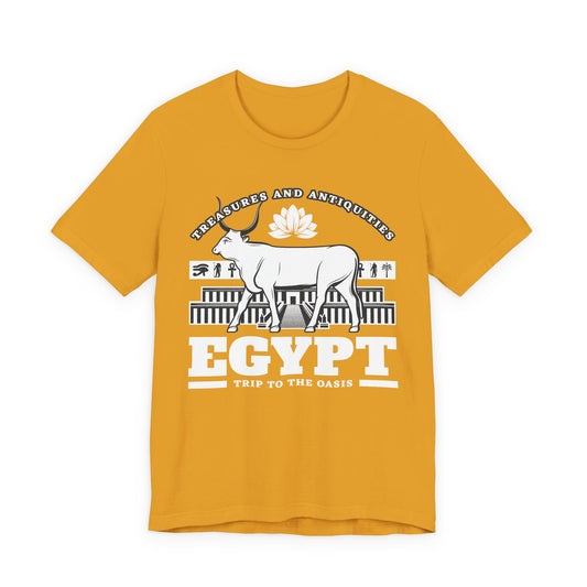 Treasures and Antiquities T-Shirt