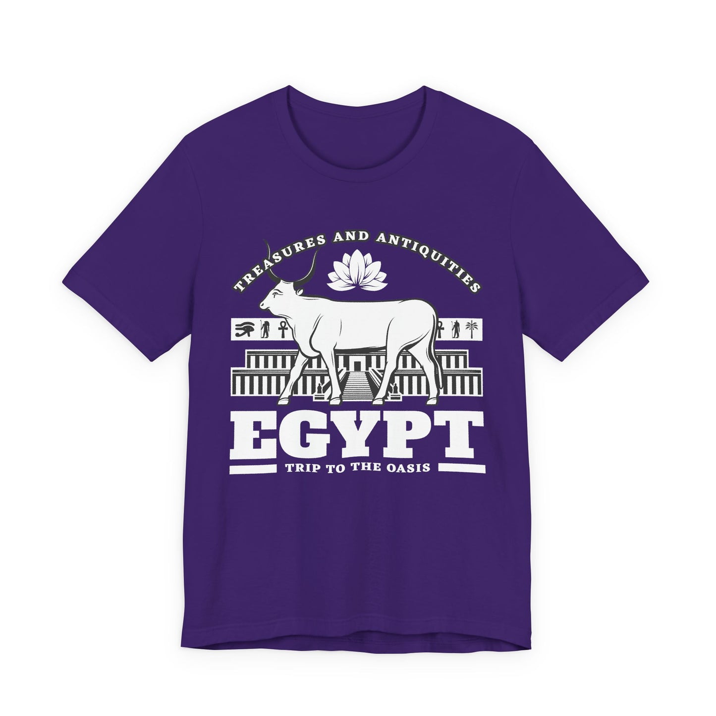 Treasures and Antiquities T-Shirt