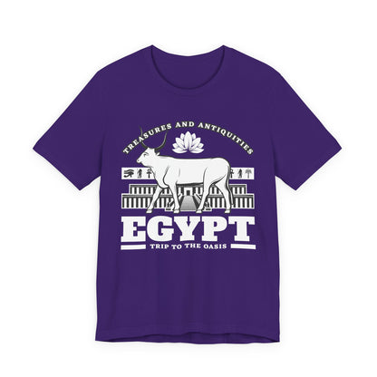 Treasures and Antiquities T-Shirt