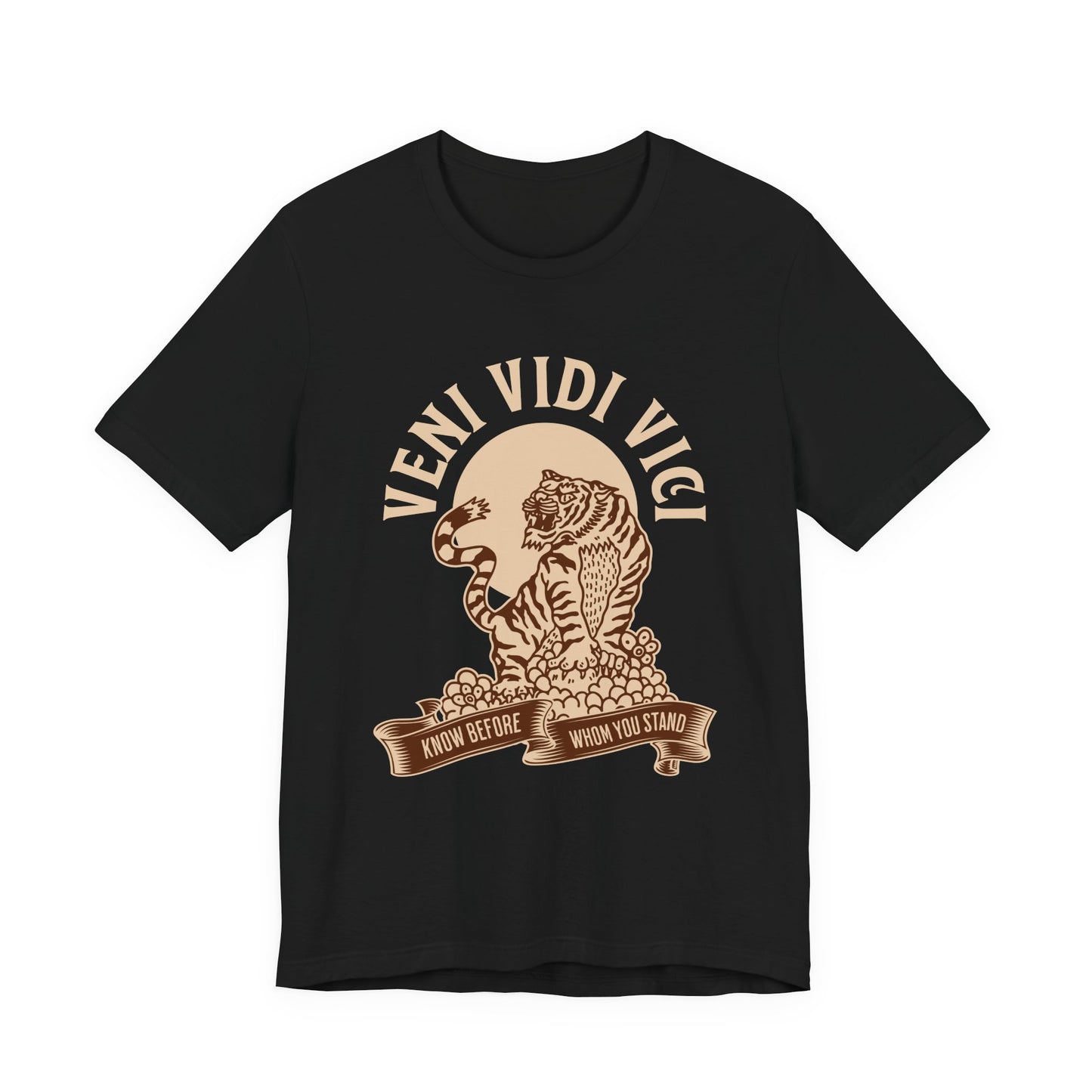 Veni vidi vici T-Shirt