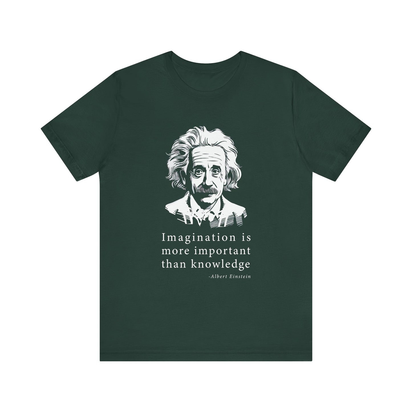 Imagination is more important T-Shirt