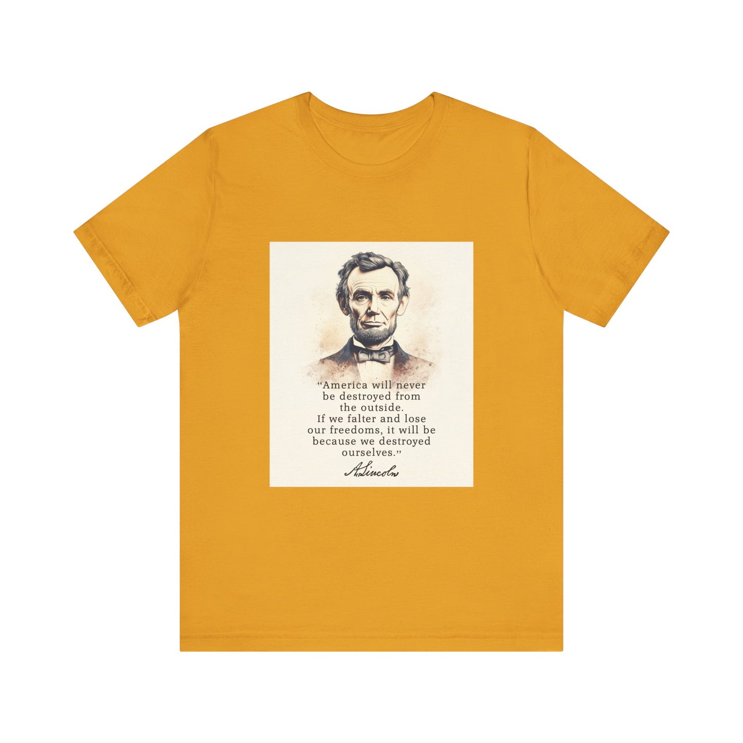 Destroyed Ourselves Lincoln T-Shirt
