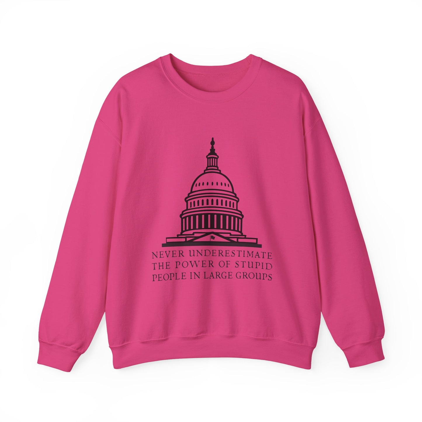 Stupid People In Large Groups Sweatshirt