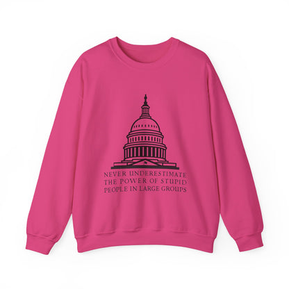 Stupid People In Large Groups Sweatshirt