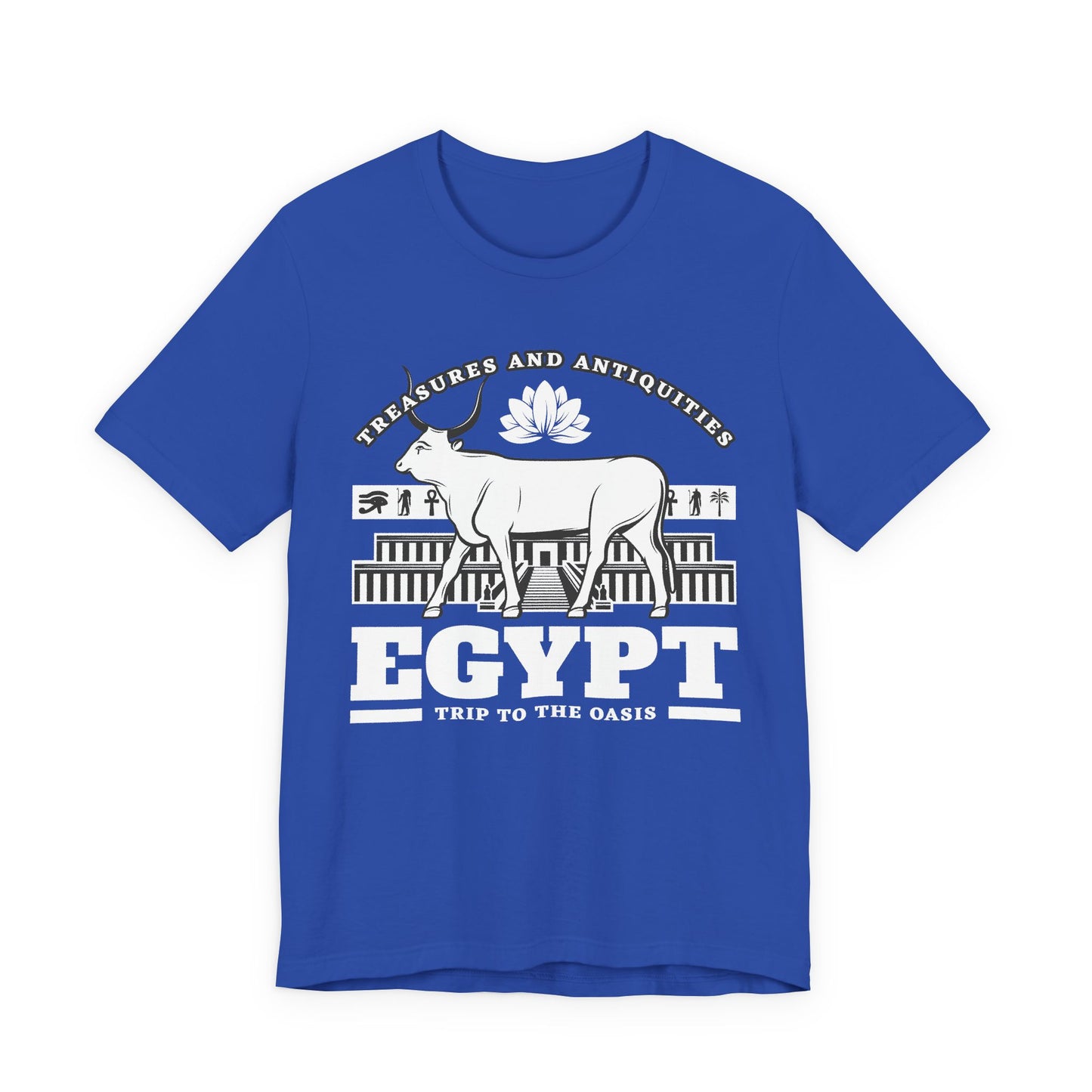 Treasures and Antiquities T-Shirt