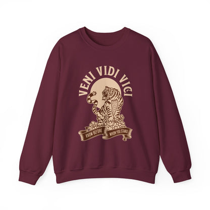 Veni vidi vici  Sweatshirt